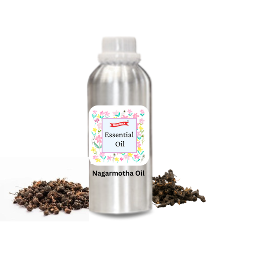 Cypress Rotendus / Nut grass /Nagarmotha Essential Oil