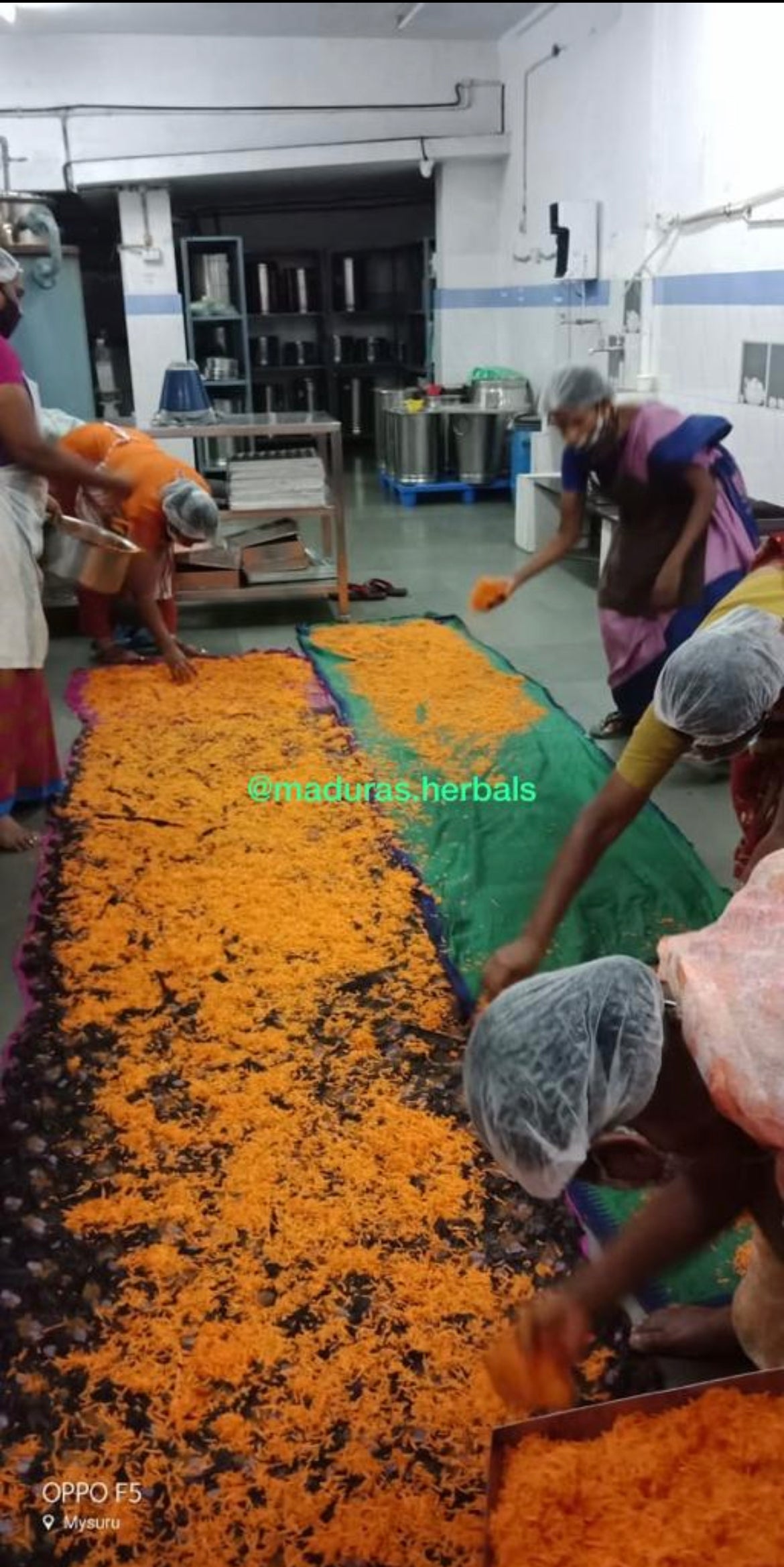 Carrot Pure Powder
