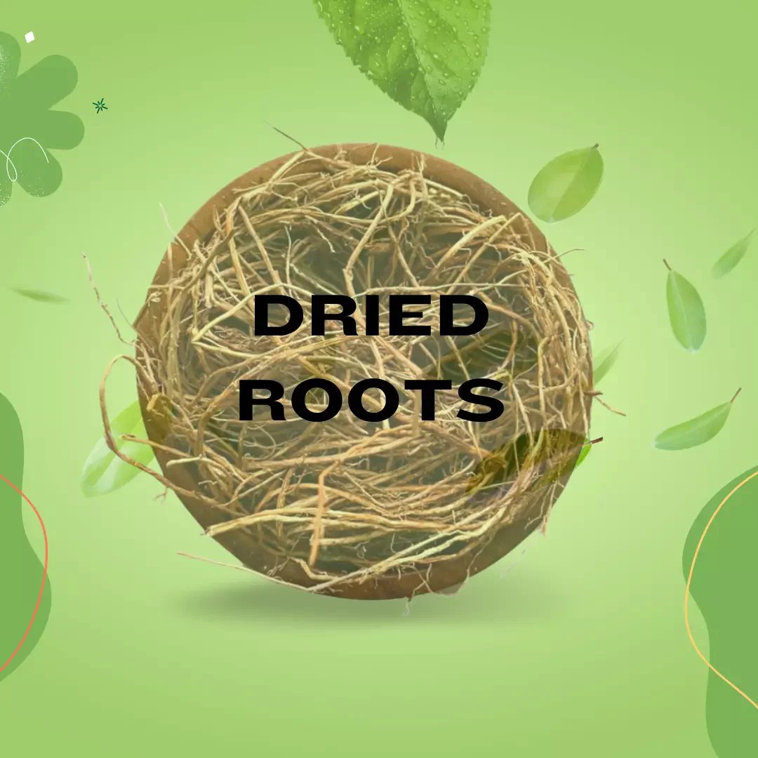 Dried Roots