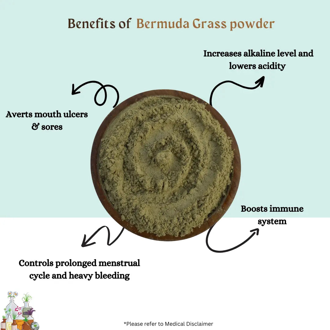Bermuda Grass  Powder