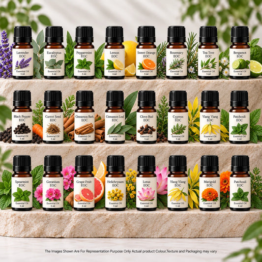 Essential Oil - Cosmetic Fast Moving Sample Kit - 24 Variants