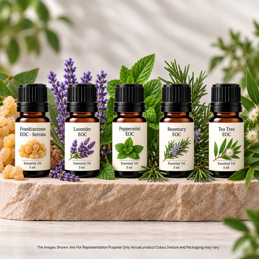 Essential Oil - Grade A Sample Kit - 5 Variants