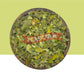 Moringa Leaf Dried