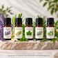 Essential Oil - Export Grade Super Fast Sample Kit - 5 Variants