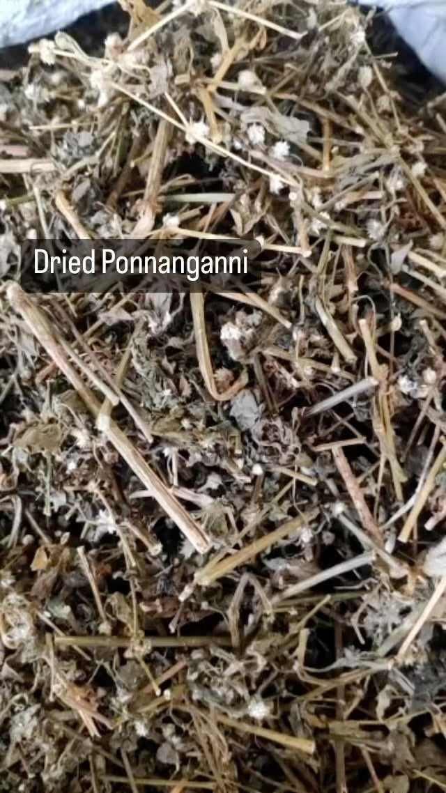 Ponnangani Leaves Dried