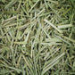 Lemon Grass - Dried Tea Cut